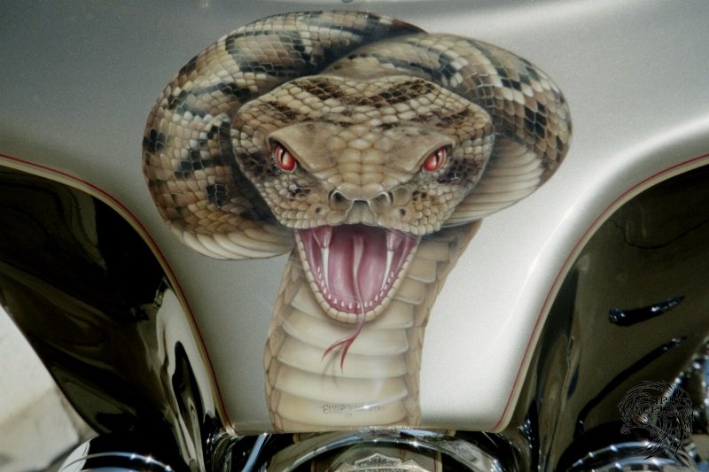 snake-2007-2
