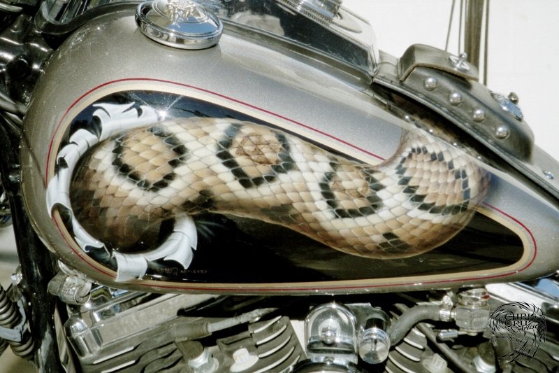 snake-2007-3